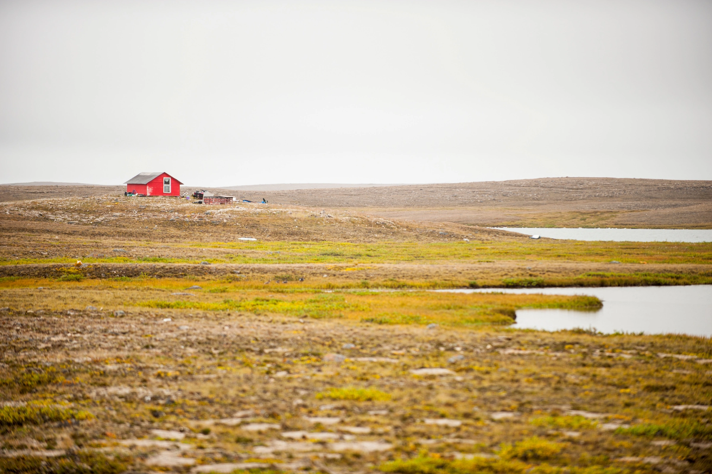 Cambridge_Bay,_Nunavut[1].webp